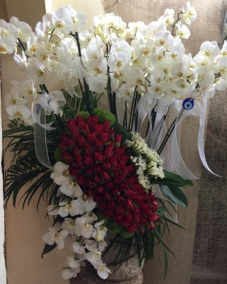 Orkider ve güllerin ihtişamı