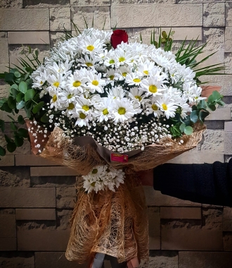 Papatya buketi ve aşk 