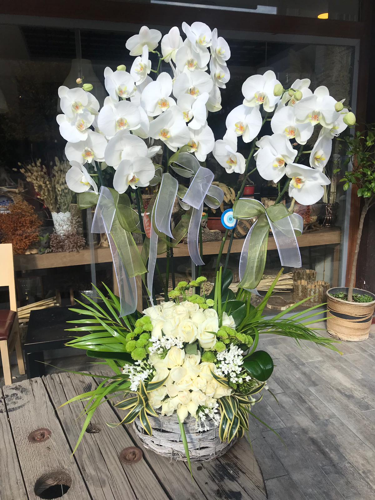 orkıde grup arajman