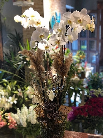 Dekoratif Orkide Tasarımı
