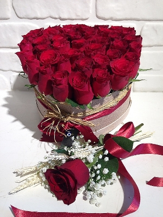 Kırmızı Elegant Tasarım