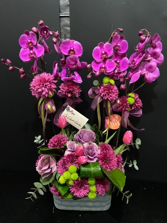 mor 4 dallı orkıde